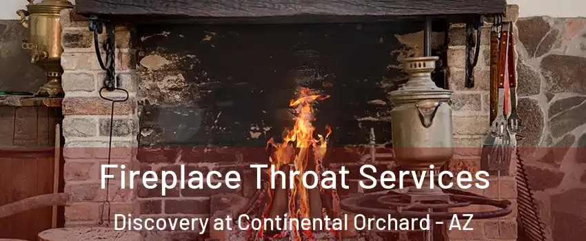 Fireplace Throat Services Discovery at Continental Orchard - AZ