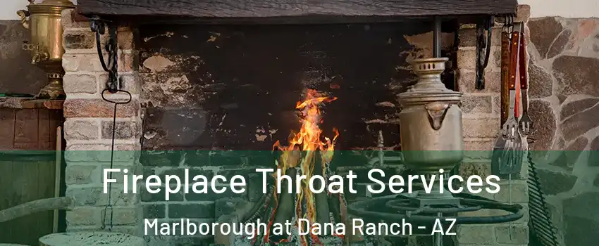 Fireplace Throat Services Marlborough at Dana Ranch - AZ