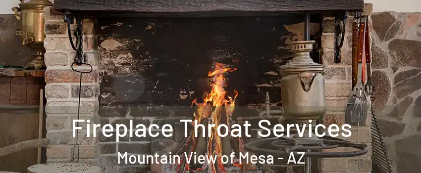Fireplace Throat Services Mountain View of Mesa - AZ