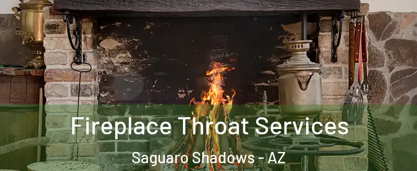 Fireplace Throat Services Saguaro Shadows - AZ