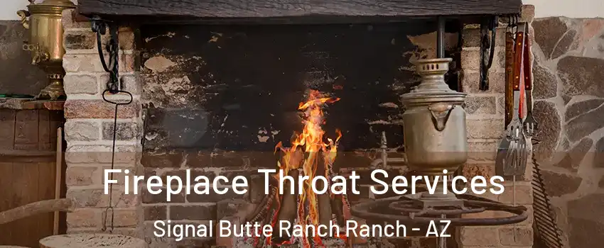 Fireplace Throat Services Signal Butte Ranch Ranch - AZ