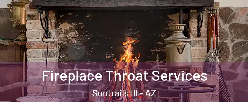 Fireplace Throat Services Suntrails III - AZ