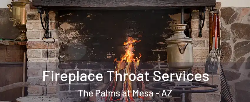 Fireplace Throat Services The Palms at Mesa - AZ