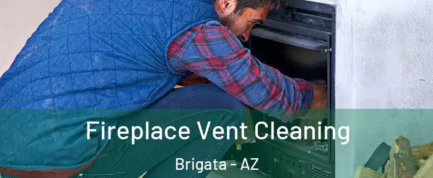 Fireplace Vent Cleaning Brigata - AZ