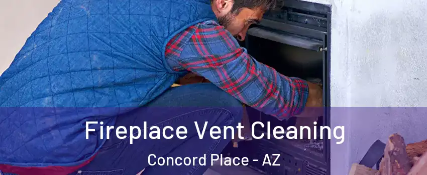 Fireplace Vent Cleaning Concord Place - AZ