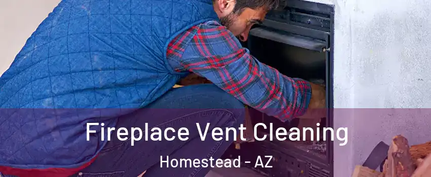 Fireplace Vent Cleaning Homestead - AZ