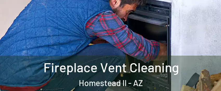 Fireplace Vent Cleaning Homestead II - AZ