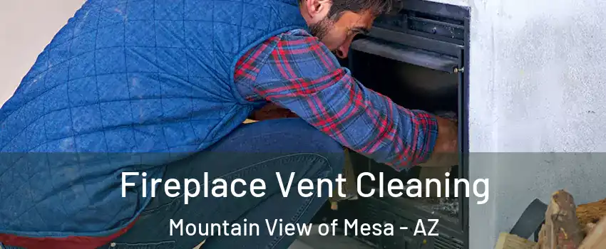 Fireplace Vent Cleaning Mountain View of Mesa - AZ