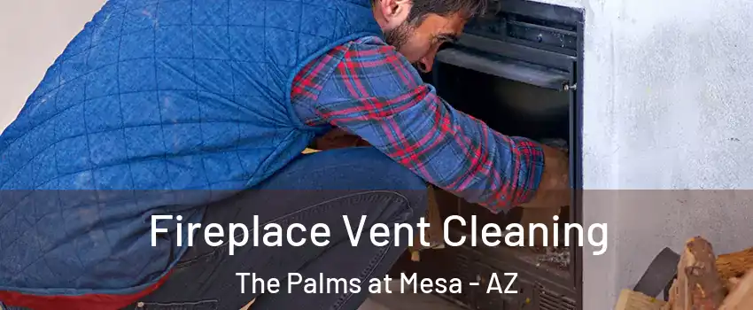 Fireplace Vent Cleaning The Palms at Mesa - AZ