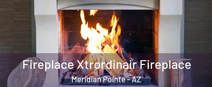 Fireplace Xtrordinair Fireplace Meridian Pointe - AZ