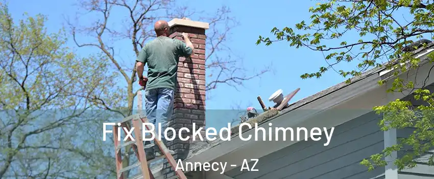 Fix Blocked Chimney Annecy - AZ
