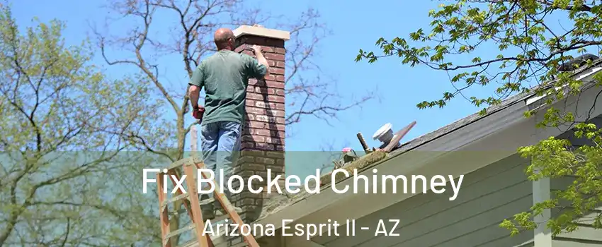 Fix Blocked Chimney Arizona Esprit II - AZ