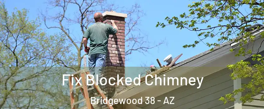 Fix Blocked Chimney Bridgewood 38 - AZ