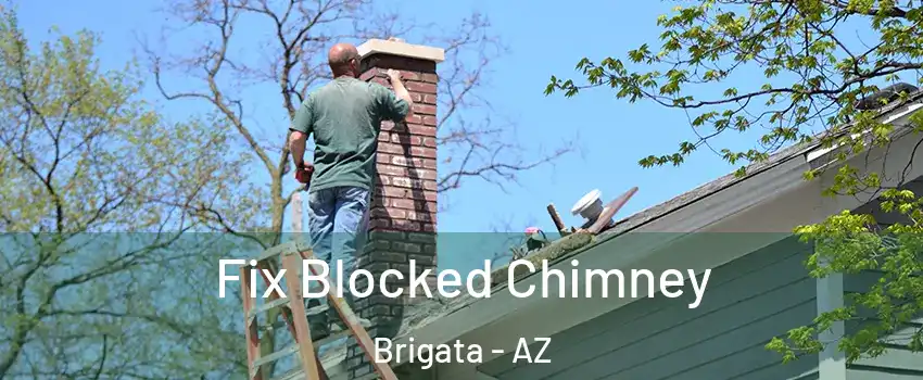 Fix Blocked Chimney Brigata - AZ