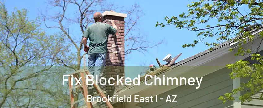Fix Blocked Chimney Brookfield East I - AZ