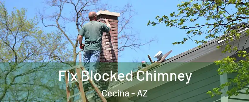 Fix Blocked Chimney Cecina - AZ