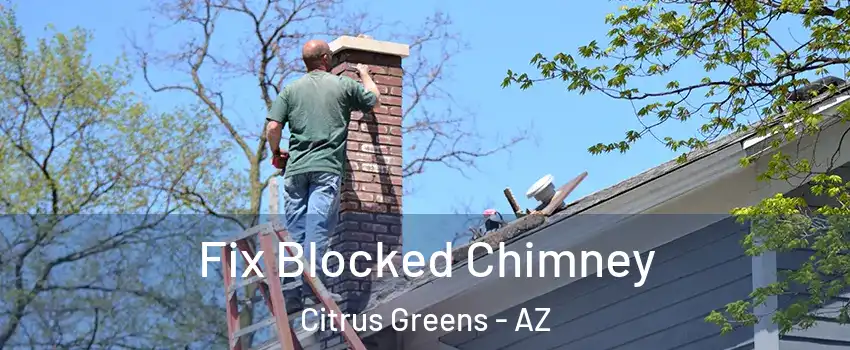 Fix Blocked Chimney Citrus Greens - AZ