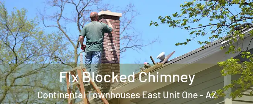 Fix Blocked Chimney Continental Townhouses East Unit One - AZ