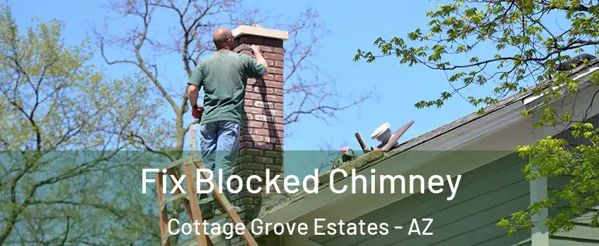 Fix Blocked Chimney Cottage Grove Estates - AZ