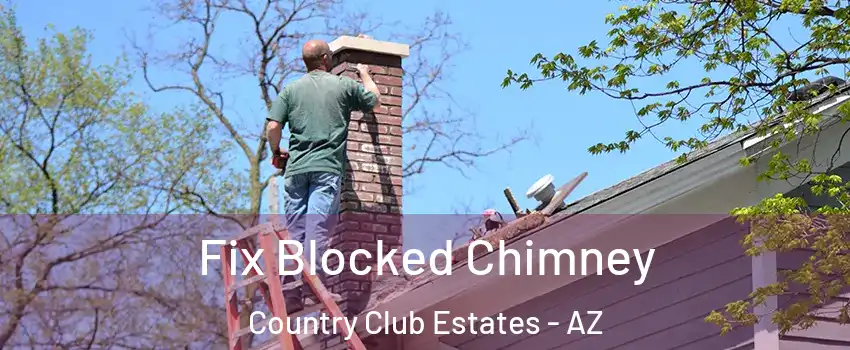 Fix Blocked Chimney Country Club Estates - AZ