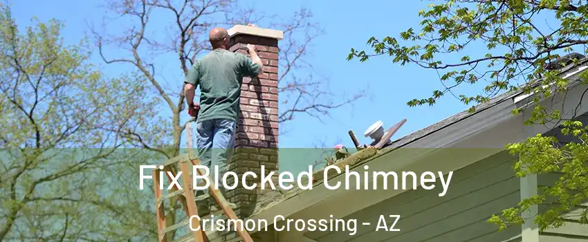 Fix Blocked Chimney Crismon Crossing - AZ