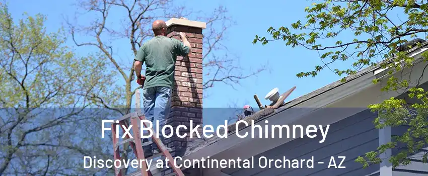 Fix Blocked Chimney Discovery at Continental Orchard - AZ
