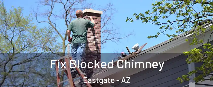 Fix Blocked Chimney Eastgate - AZ