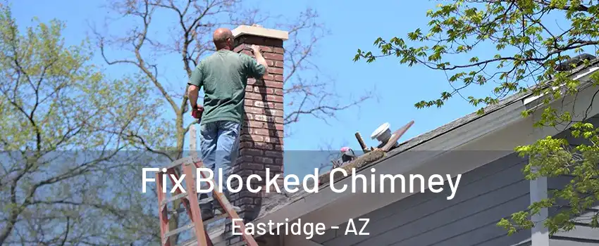 Fix Blocked Chimney Eastridge - AZ