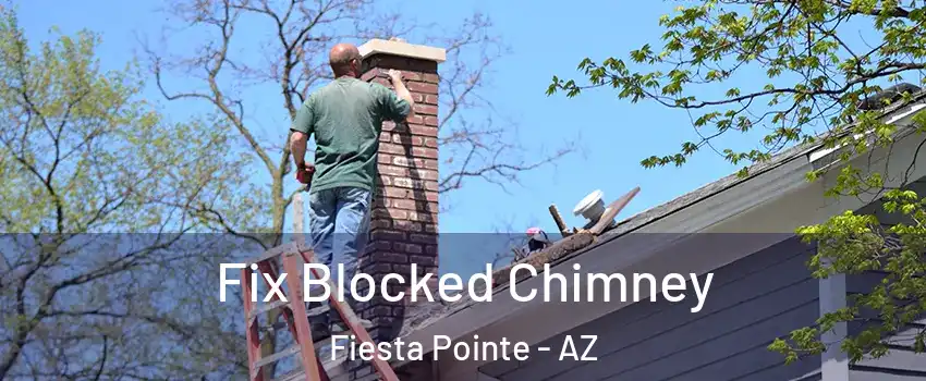 Fix Blocked Chimney Fiesta Pointe - AZ