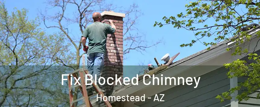Fix Blocked Chimney Homestead - AZ