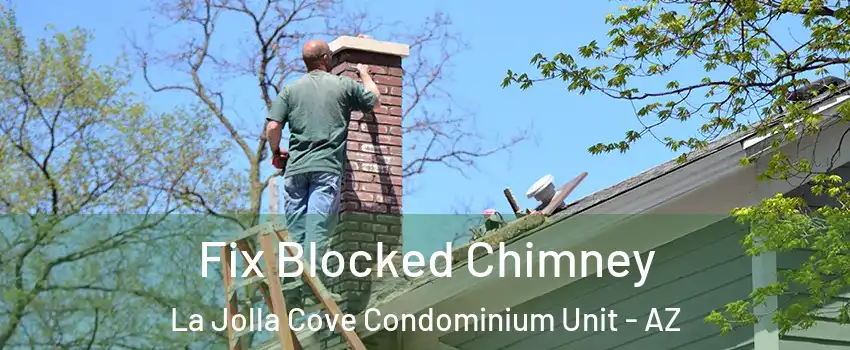 Fix Blocked Chimney La Jolla Cove Condominium Unit - AZ