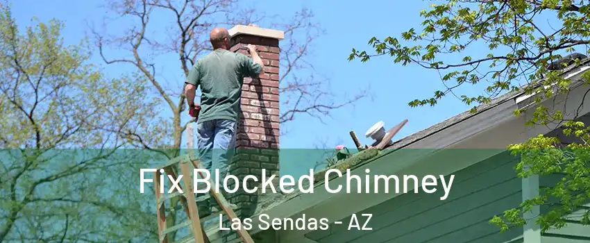 Fix Blocked Chimney Las Sendas - AZ