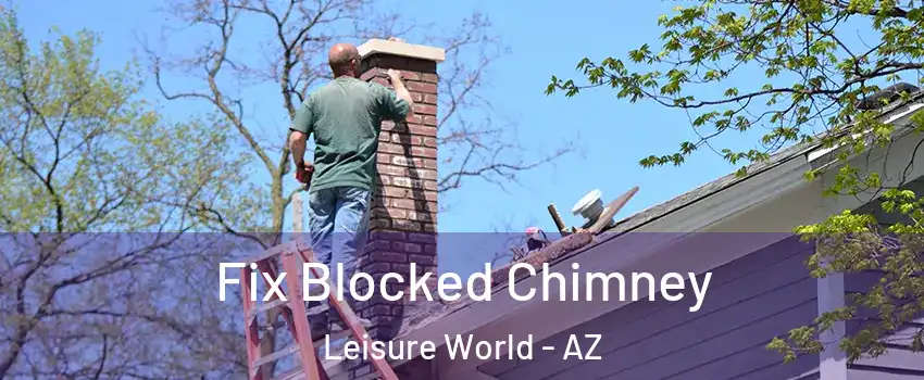 Fix Blocked Chimney Leisure World - AZ