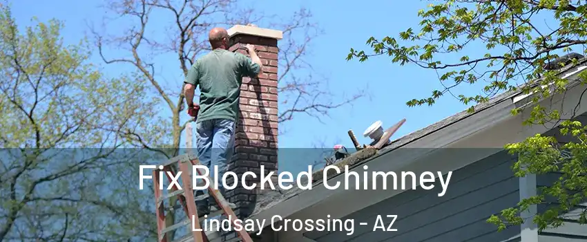 Fix Blocked Chimney Lindsay Crossing - AZ