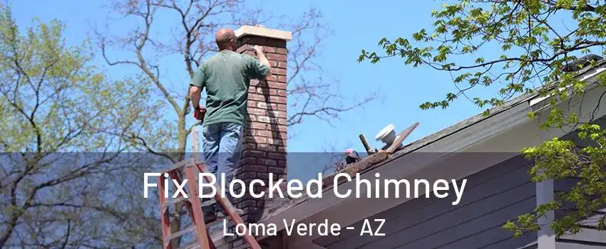 Fix Blocked Chimney Loma Verde - AZ