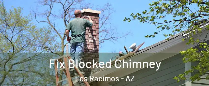 Fix Blocked Chimney Los Racimos - AZ
