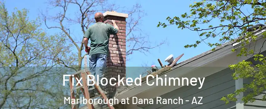 Fix Blocked Chimney Marlborough at Dana Ranch - AZ