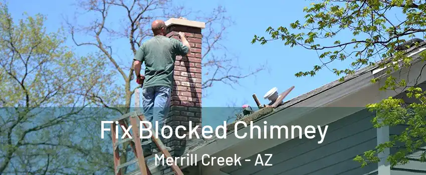 Fix Blocked Chimney Merrill Creek - AZ