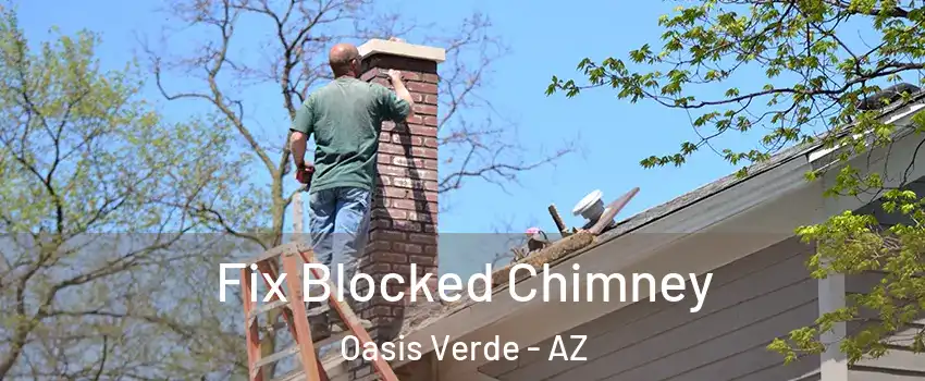 Fix Blocked Chimney Oasis Verde - AZ