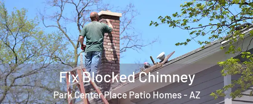 Fix Blocked Chimney Park Center Place Patio Homes - AZ