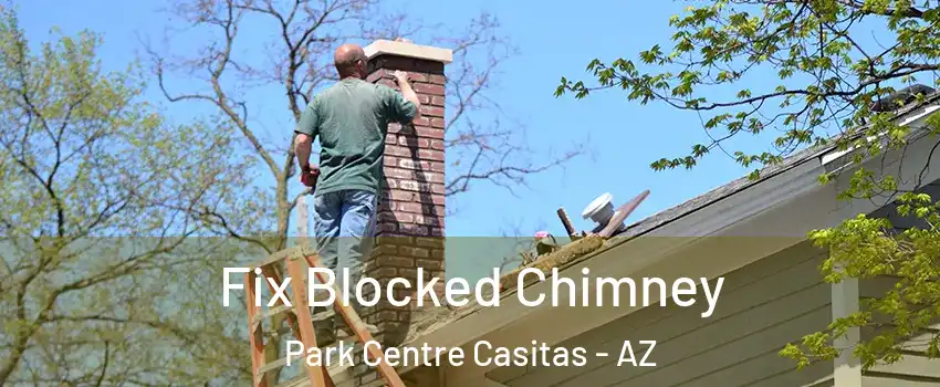 Fix Blocked Chimney Park Centre Casitas - AZ