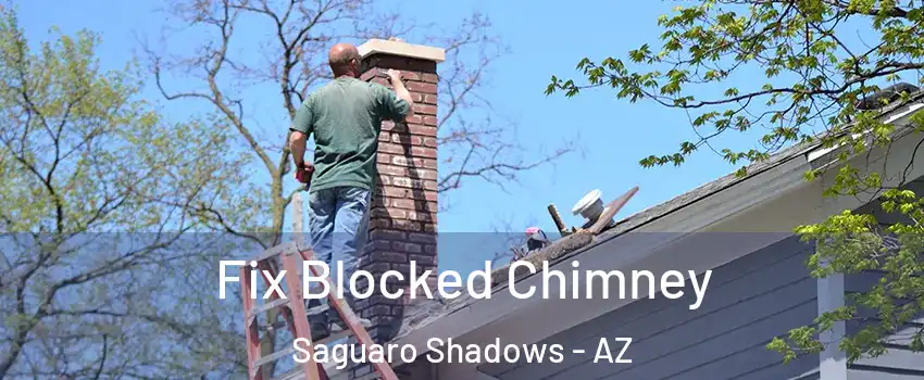 Fix Blocked Chimney Saguaro Shadows - AZ