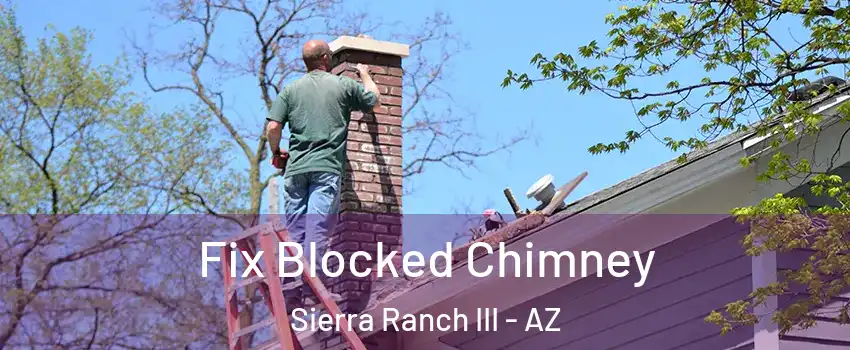 Fix Blocked Chimney Sierra Ranch III - AZ