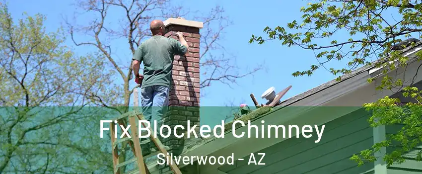 Fix Blocked Chimney Silverwood - AZ