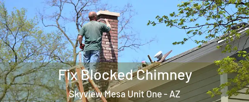 Fix Blocked Chimney Skyview Mesa Unit One - AZ