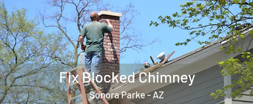 Fix Blocked Chimney Sonora Parke - AZ