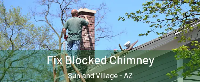 Fix Blocked Chimney Sunland Village - AZ