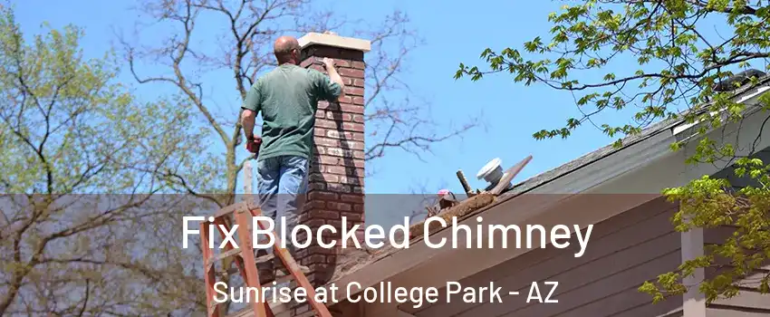 Fix Blocked Chimney Sunrise at College Park - AZ