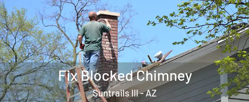 Fix Blocked Chimney Suntrails III - AZ