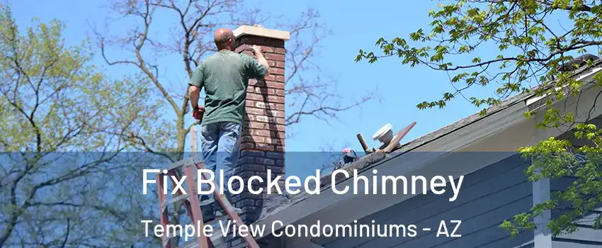 Fix Blocked Chimney Temple View Condominiums - AZ